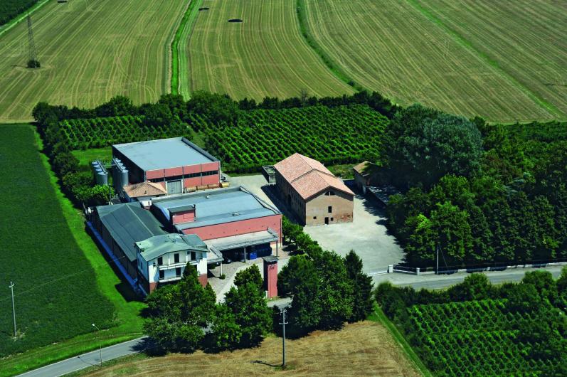 LINI Winery