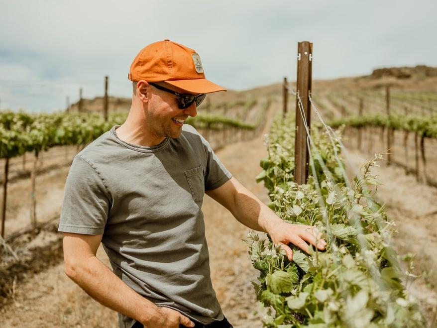 A New Era of Winemakers