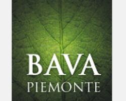 BAVA logo