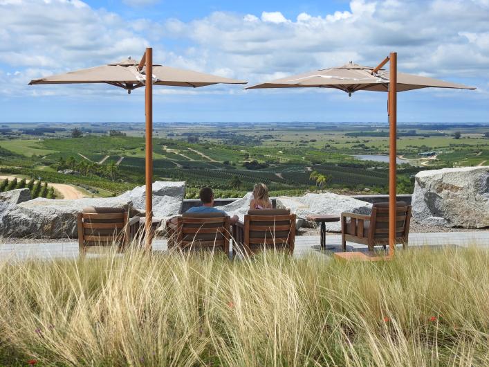 Bodega Garzón Tourism