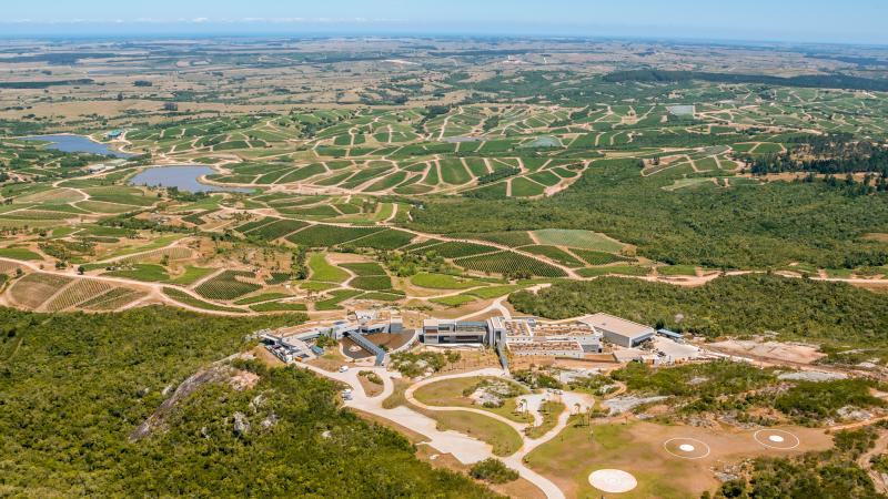 Bodega Garzón Winery & Vineyards