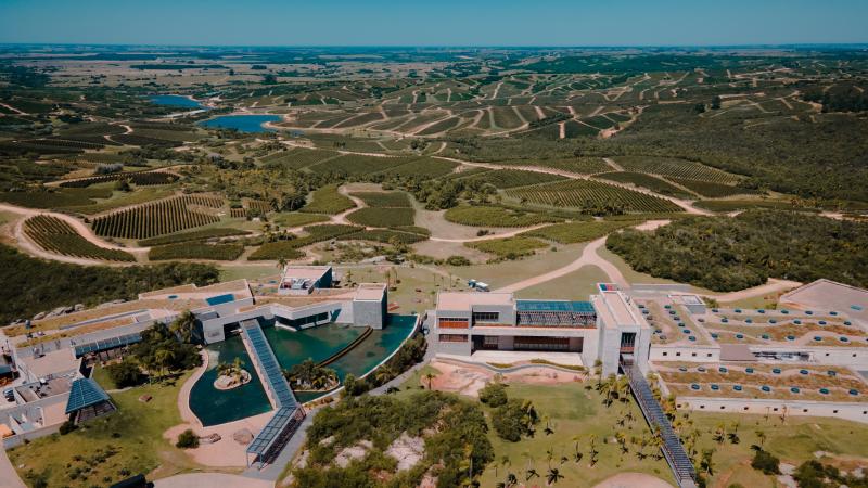 Bodega Garzón Winery & Vineyards