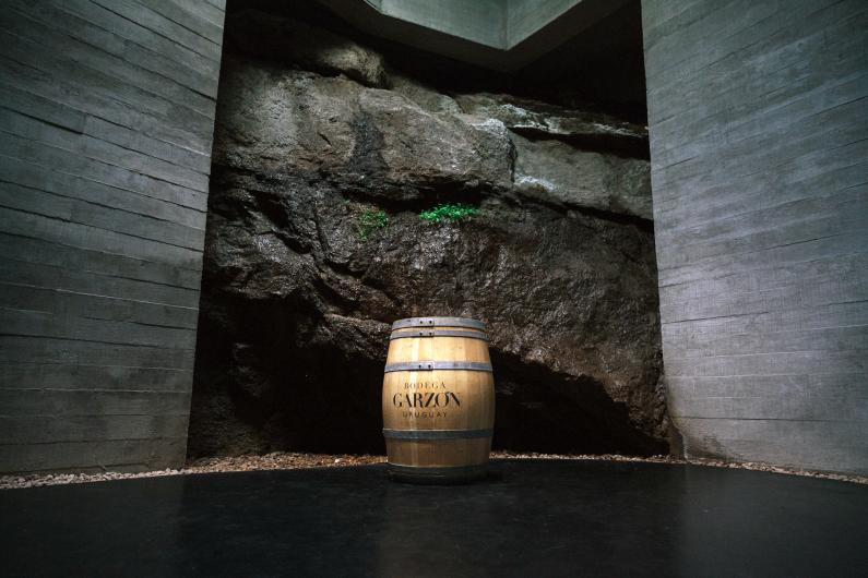 Bodega Garzón Winery
