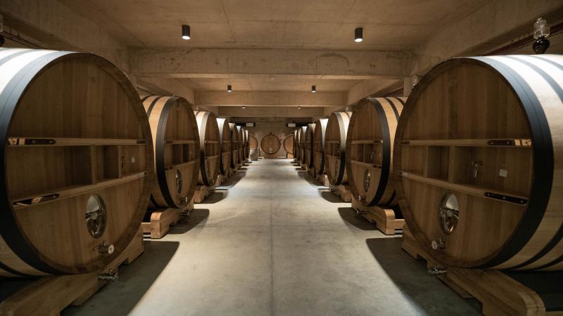 Cava Bodega Garzón