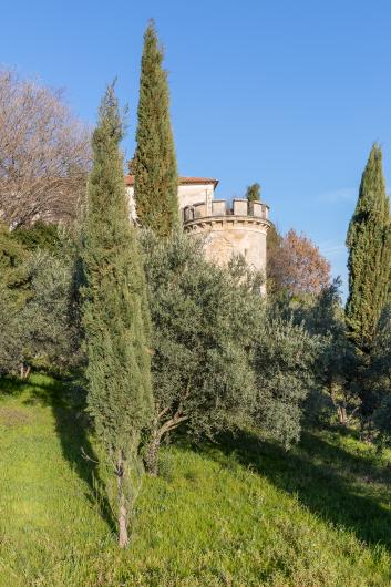 Rouanne Tower