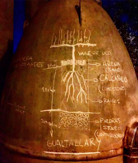 Concrete Egg with Soil Map