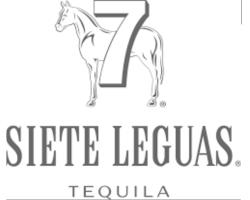 Dantano logo