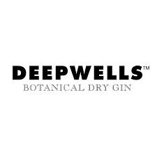 Deepwells Logo