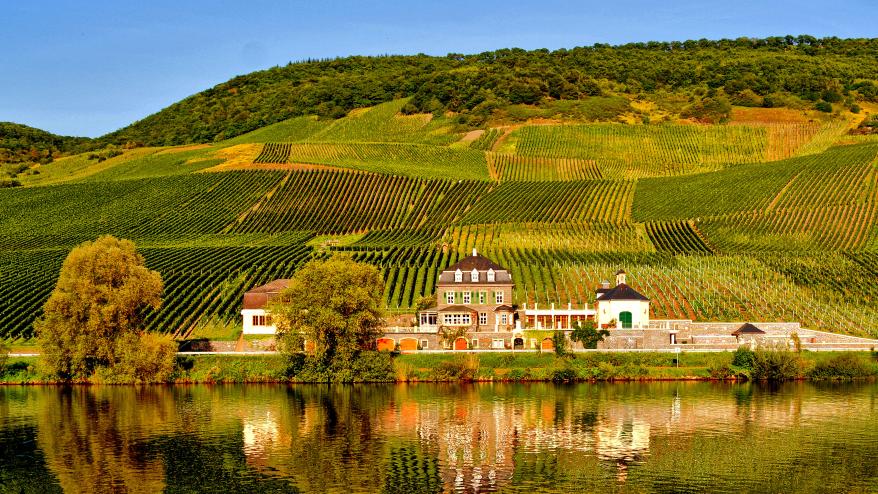 On the Banks of the Mosel River