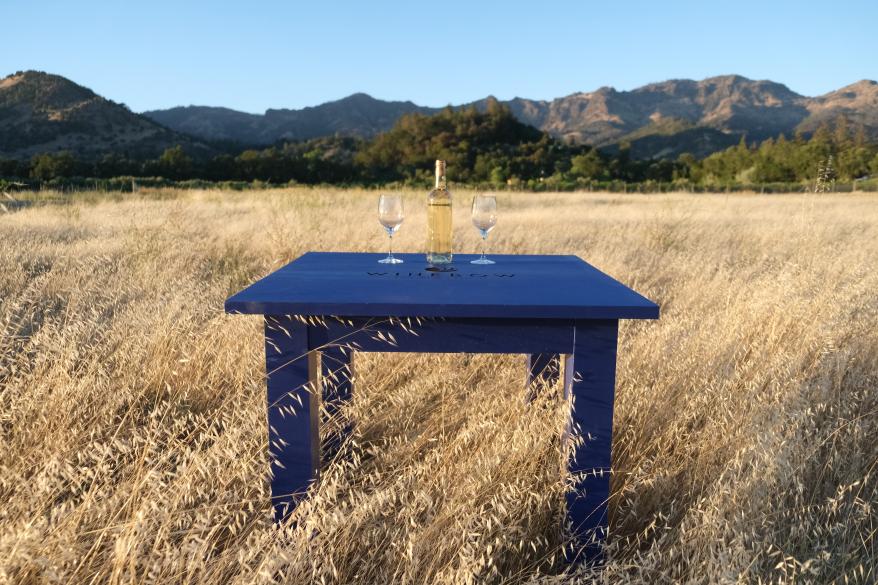 Winebow Blue Table in a Field