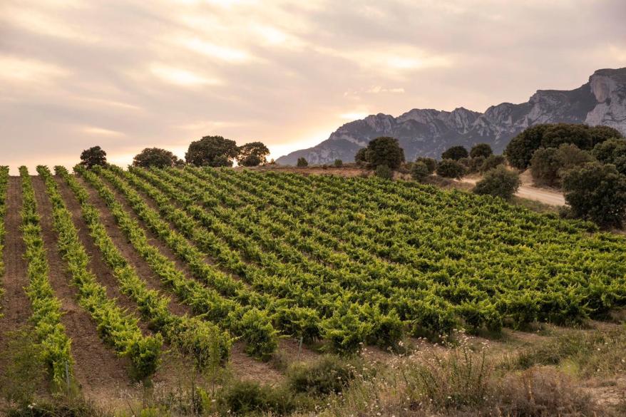 Preserving their Legacy and Assuring Future Sustainability