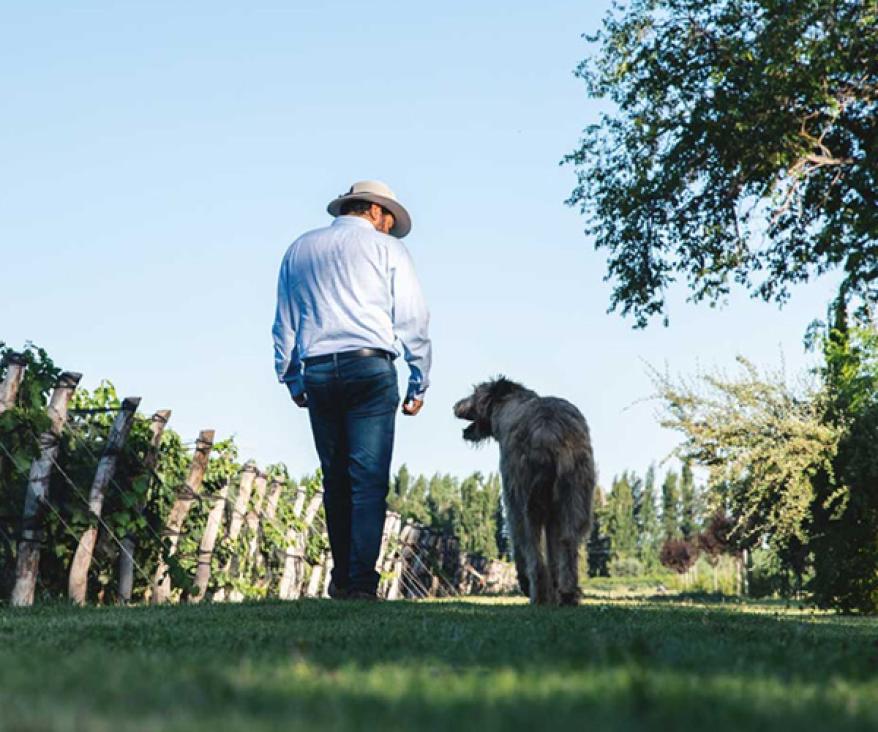 Honoring the Microclimates of Mendoza
