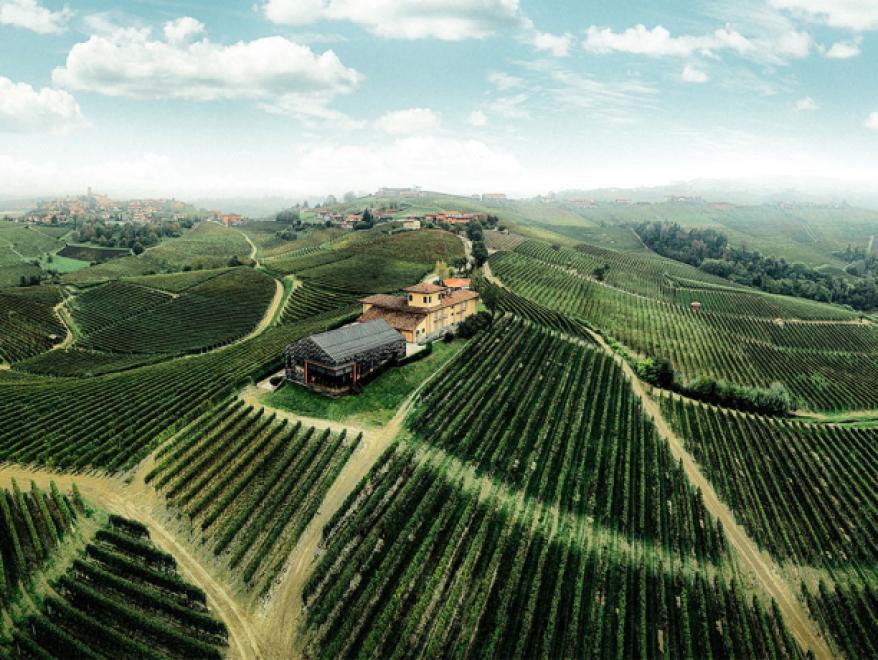 Boroli Barolo: Uncompromising Quality