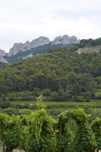 Le Poste Vineyards and Dentelles de Montmirail