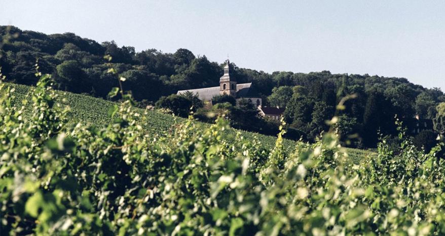 France: Champagne, Crémant, & Pét-Nat