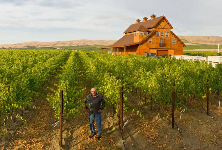 Januik and the Rise of Washington Winemaking