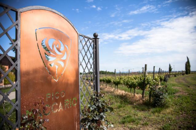 Pico Maccario - Winery Gate