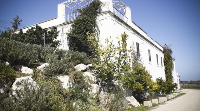 Di Majo Norante Estate