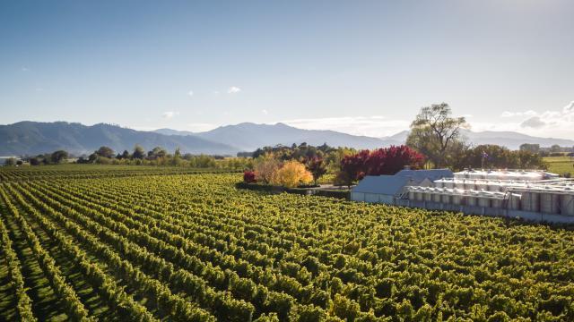 Golden Mile, Jacksons Road in sunny Marlborough