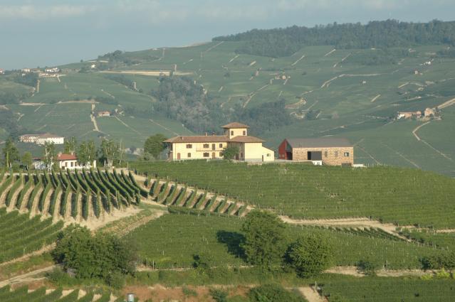 Cantina Boroli