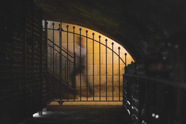 Cellar