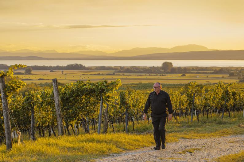 Peter in vineyard
