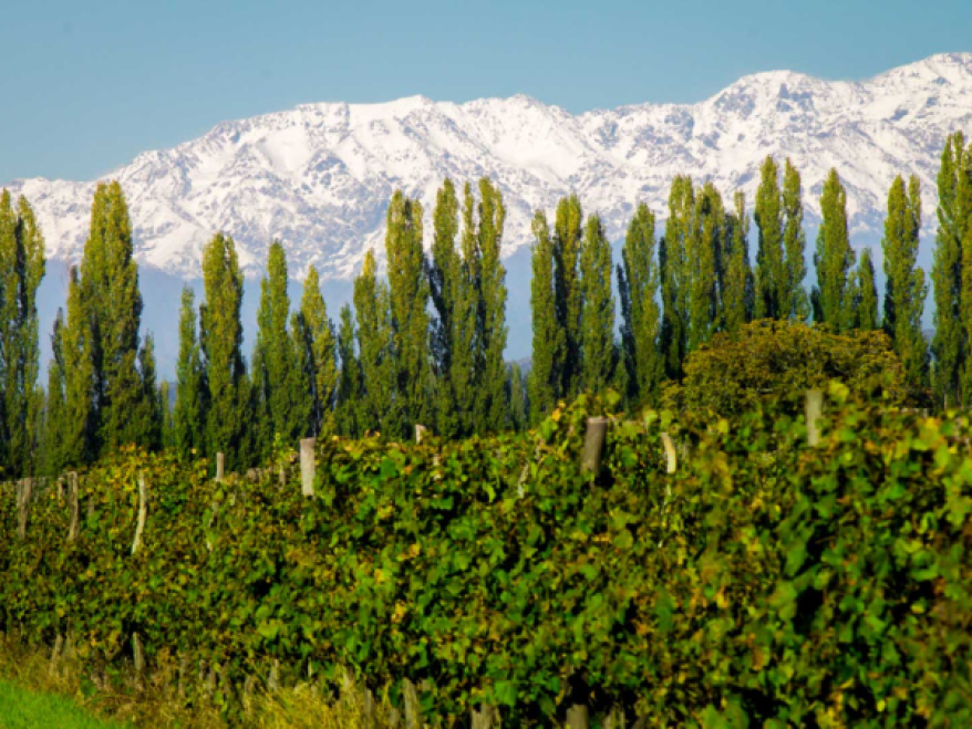 TILIA's Commitment to Sustainability