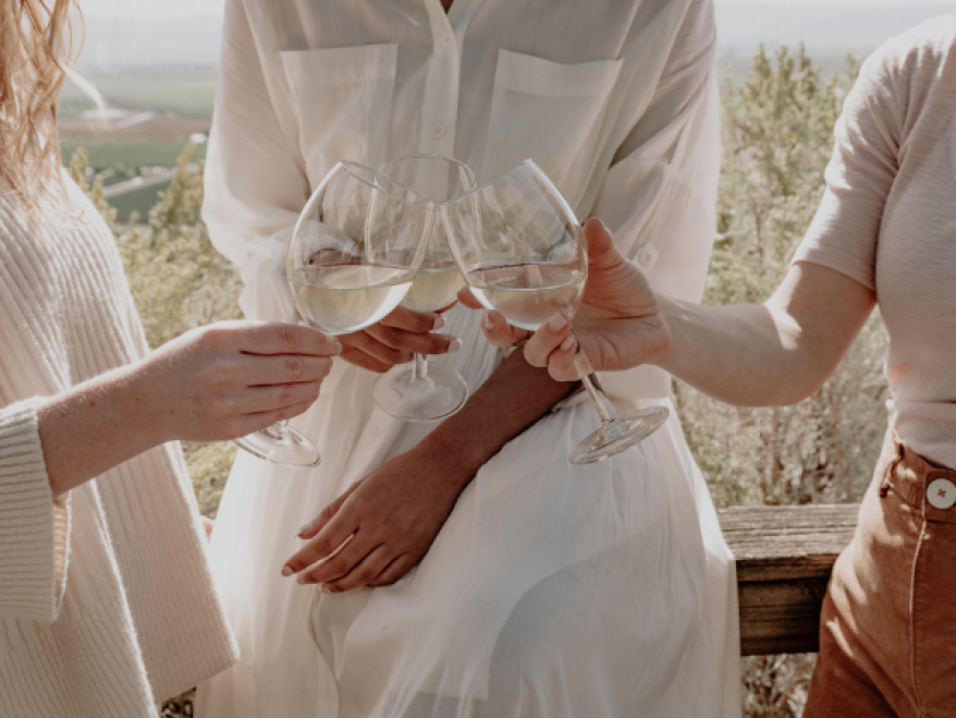 The Story of a Vineyard